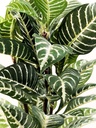 Planta artificial Hojas de hierba 54cm