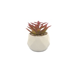 [230033248] Suculenta rosada base prisma 8,5cm
